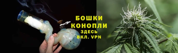 гашик Богородск