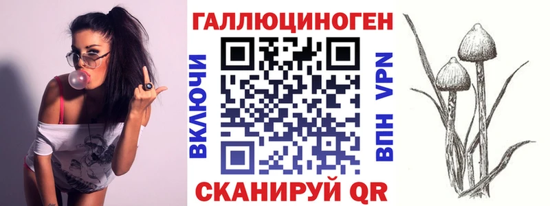 Галлюциногенные грибы Psilocybine cubensis  Гремячинск 