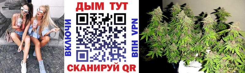 Канабис семена  Гремячинск 